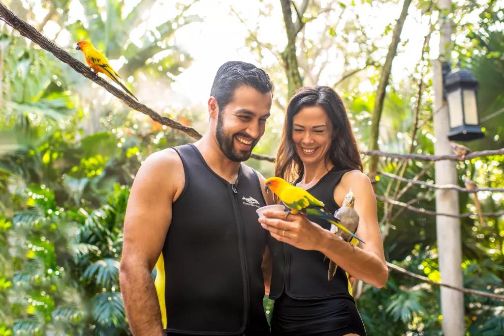 A man and a woman wearing short sleeved wet suits looking at a tropical bird perched on the woman's hand