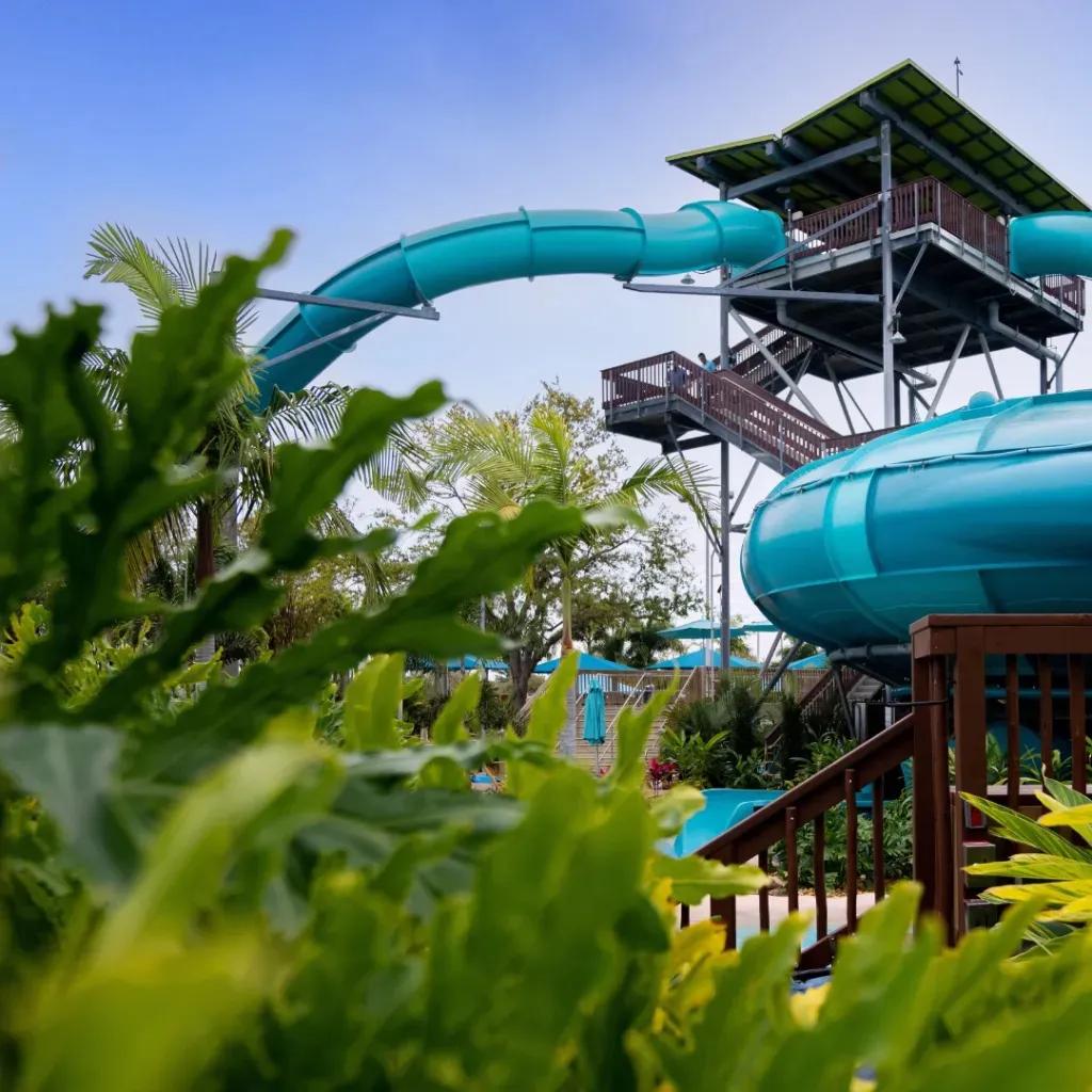 Wasserrutsche Tassie's Underwater Twist in Aquatica Orlando