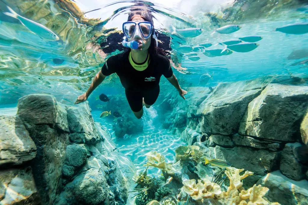 Eine Frau schnorchelt in Discovery Cove