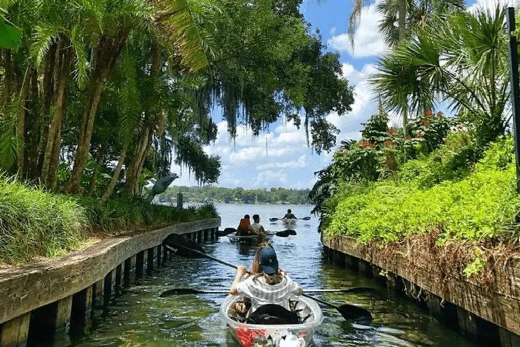 Mehrere Kayaks steuern durch eine enge von Palmen umgebene Passage auf einen See zu