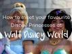 Where to Meet the Disney Princesses at Walt Disney World