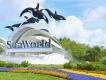Die fünf besten Restaurants in SeaWorld Orlando