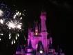 Jahresrückblick 2013: Walt Disney World Florida