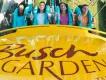 Top Tips for Visiting Busch Gardens