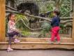 Two children standing in front of an animal enclosure at Chessington Zoo