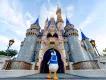 Donald vor dem berühmten Cinderella Schloss im Magic Kingdom Park