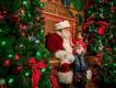 Santa Claus sat on wooden throne with a child sat on his lap touching his white beard. There are many christmas trees on either side decorated in pretty green and red decorations including baubles and bows.