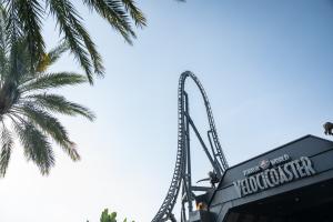 Looking up at the drop on Jurassic World VelociCoaster from the entrance of the attraction