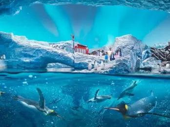 SeaWorld Yas Island Abu Dhabi
