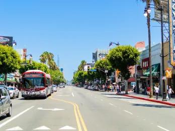 Empty road lined with palm trees and shops with a bus driving down it.