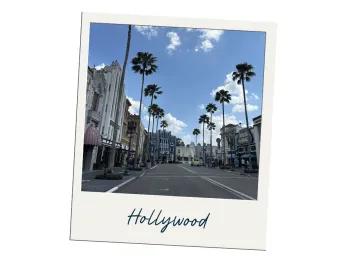 A polaroid of a street lined with palm trees