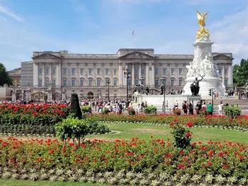 London Royal Mews at Buckingham Palace