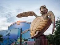 Crush's Coaster at Walt Disney Studios Park, Disneyland Paris