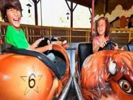 Buffalo-Rodeo