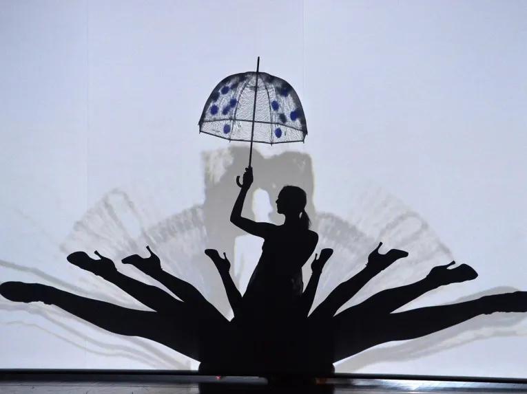 Lido de Paris Dinner and Show Tickets