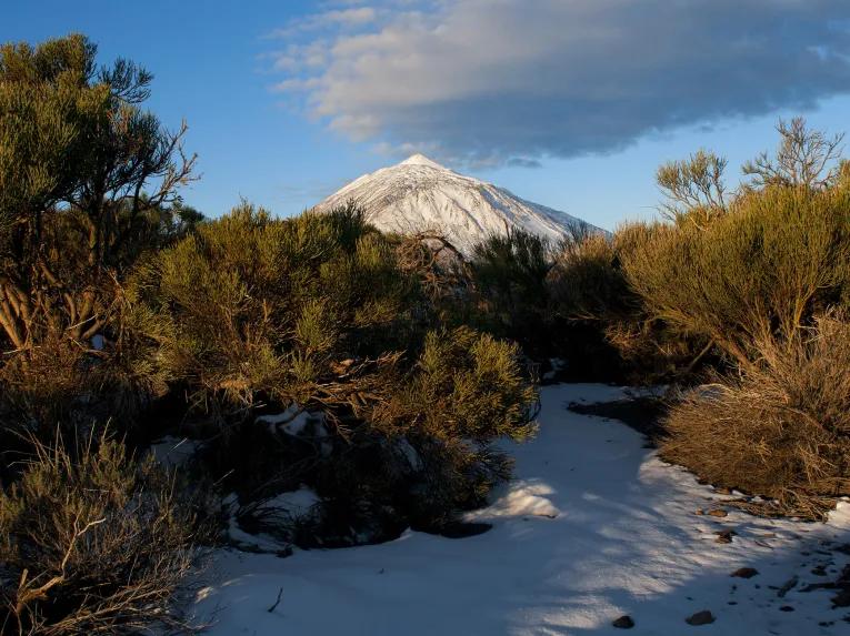 Mount Teide Cable Car Skip-the-Line Ticket with Audioguide