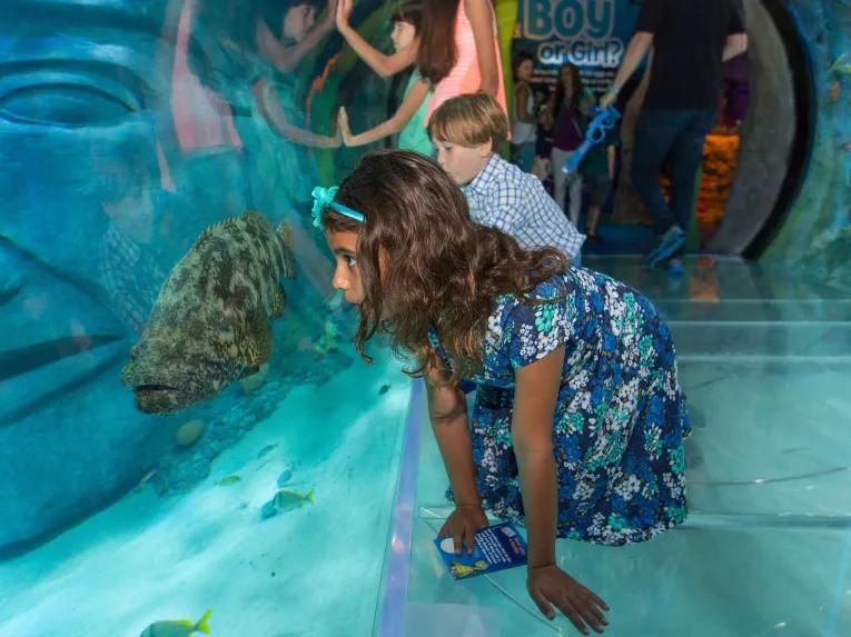 Sea Life Orlando Tickets