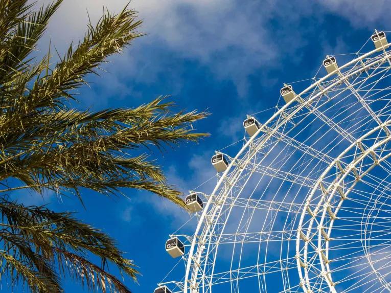 The Wheel at ICON Park