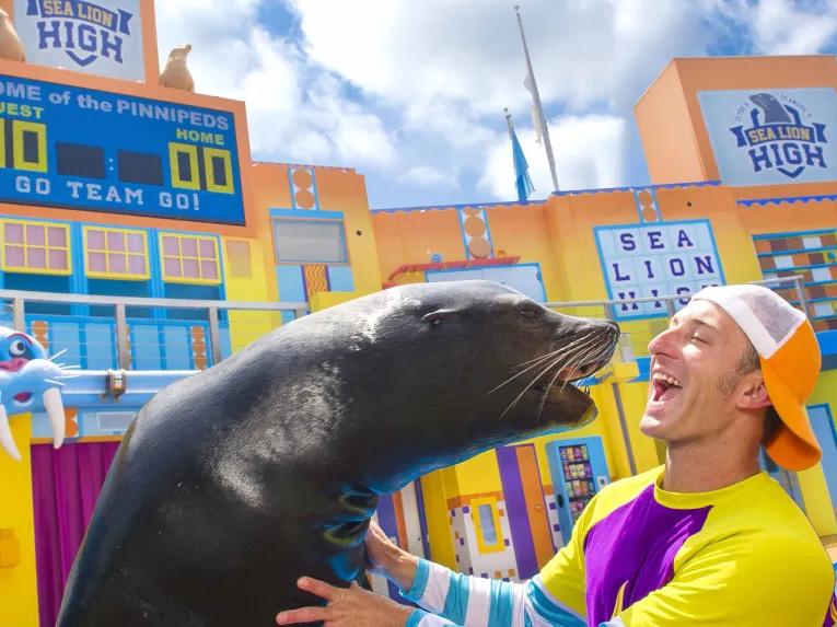 Sea Lion High Show at SeaWorld Orlando