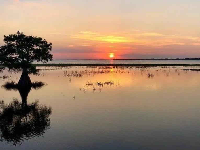 Boggy Creek Orlando Airboat Night Tour