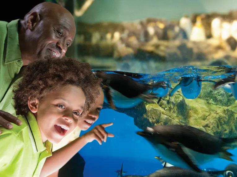SeaWorld California