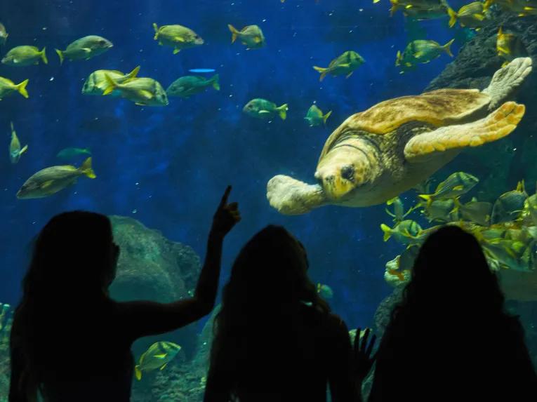 SeaWorld California