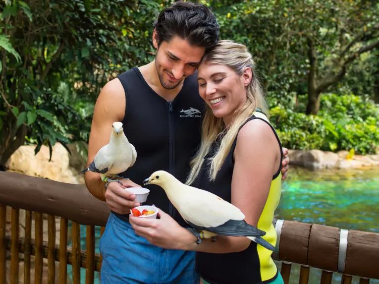 Guest interacting with tropical birds within Explorer's Aviary at Discovery Cove