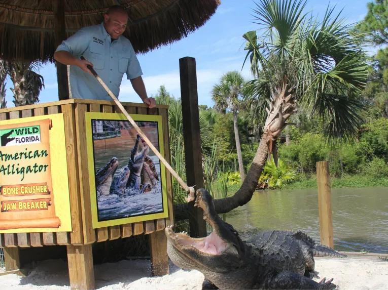 Real Wild Florida Adventure