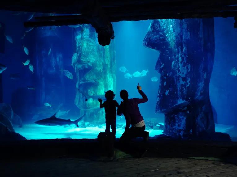 SEA LIFE London Aquarium