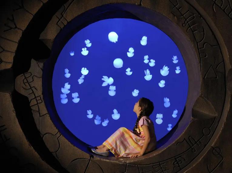 The Lost Chambers Aquarium in Dubai