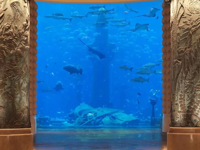 The Lost Chambers Aquarium in Dubai
