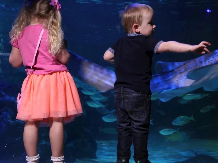 SEA LIFE Blackpool 
