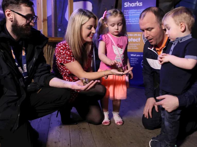SEA LIFE Blackpool 