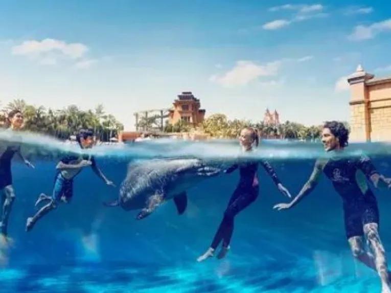 Dolphin-Swim-at-Atlantis-Dubai
