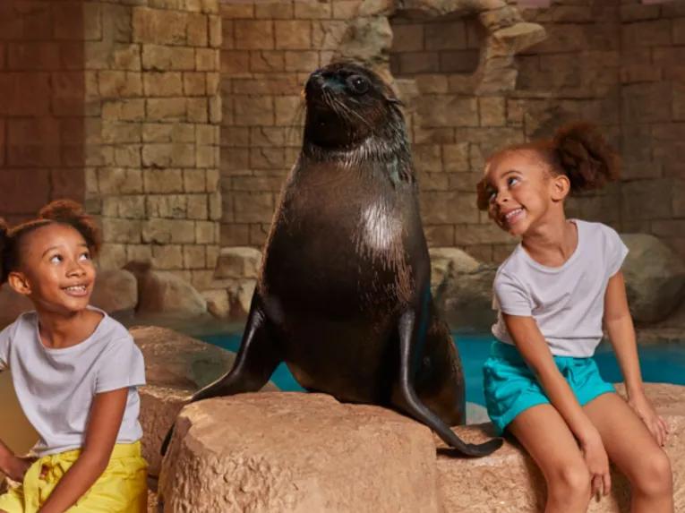 Sea Lion Meet & Greet at Atlantis Dubai