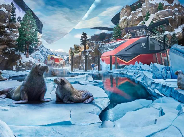SeaWorld-Yas-Island 