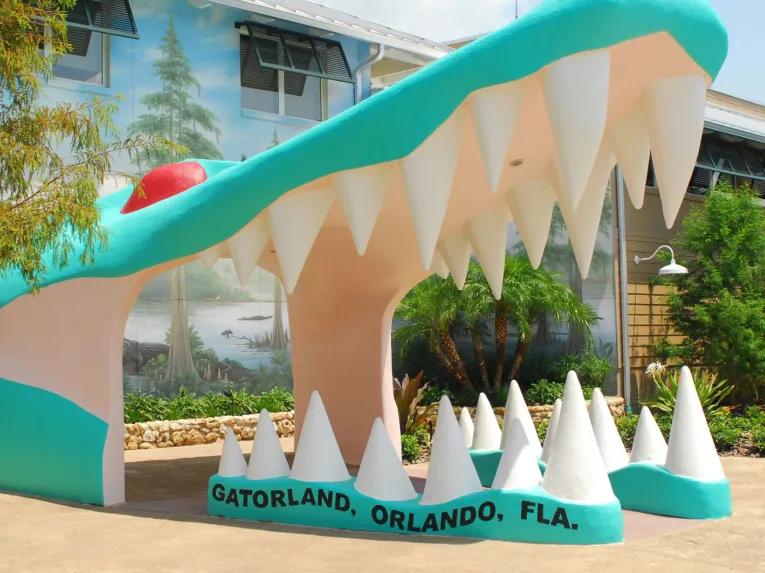 Airboat Ride and Gatorland Park Combo with Transportation