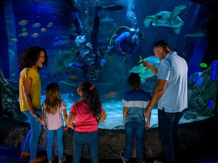 Family at the Sea Life Orlando Aquarium