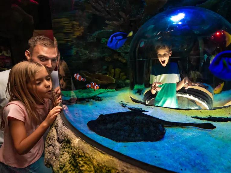 Family at the Sea Life Orlando Aquarium
