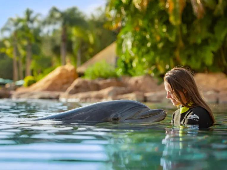Guest interacting with Dolphin at Discovery Cove Orlando