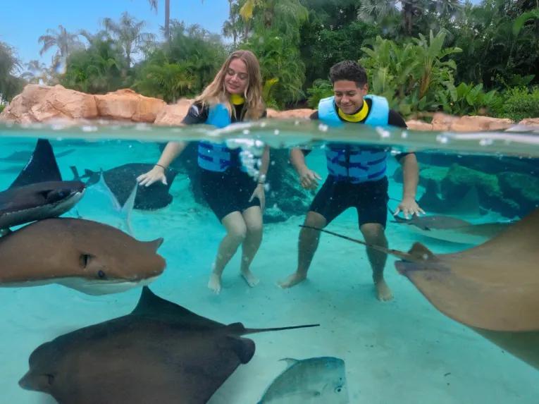 Guests interacting with rays at Discovery Cove Orlando