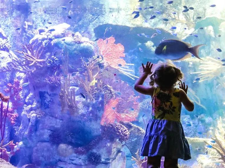 Go City: San Diego All-Inclusive Pass